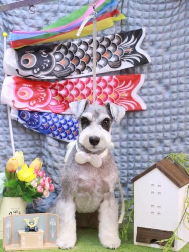 20230505ふたばちゃん